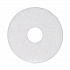 Polishing Floor Pads, 12