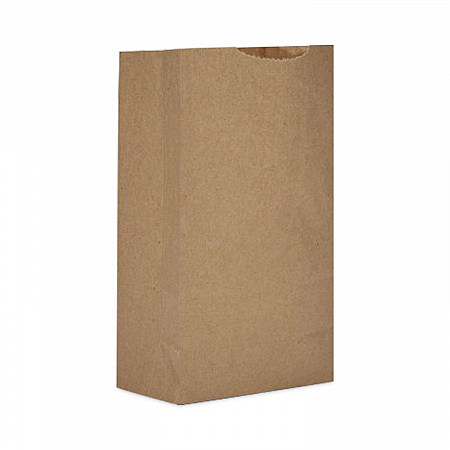 Grocery Bag, 16
