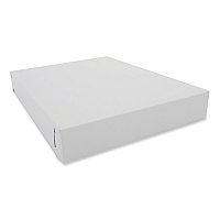 Donut Trays, 15 x 11 x 2, White, Paper, 100/Carton (2013)