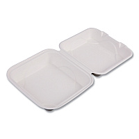 Molded Fiber Hinged Clamshell Containers, 8 x 8 x 3, White, Sugarcane, 200/Carton (EPHC81)