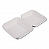 Molded Fiber Hinged Clamshell Containers, 8 x 8 x 3, White, Sugarcane, 200/Carton (EPHC81)