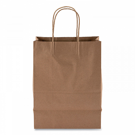 Kraft Paper Bags, Rope Handles, 8
