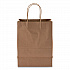 Kraft Paper Bags, Rope Handles, 8