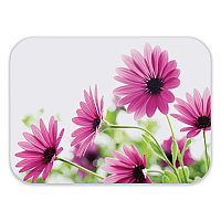 Straight Edge Traymat, Bright Daisy Photography, Smooth Surface, 19" x 14", Violet/Green/White, 500/Carton (832775)