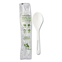 TPLA Wrapped Cutlery, Soup Spoon, Plastic, Light Beige, 750/Carton (SOPSI)