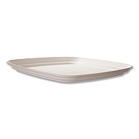 Regalia Renewable Sugarcane Tray, 10.24 x 16.54, White, Sugarcane, 100/Carton (EPSCTRS16NFA)