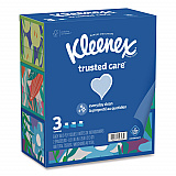 Trusted Care Facial Tissue, 2-Ply, White, 160 Sheets/Box, 3 Boxes/Pack, 12 Packs/Carton (54303)