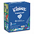 Trusted Care Facial Tissue, 2-Ply, White, 160 Sheets/Box, 3 Boxes/Pack, 12 Packs/Carton (54303)