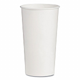 Double-Sided Poly (DSP) Paper Cold Cups, 21 oz, White, 1,000/Carton (RNP21P2050)