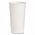 Double-Sided Poly (DSP) Paper Cold Cups, 21 oz, White, 1,000/Carton (RNP21P2050)
