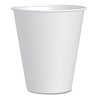 Double-Sided Poly (DSP) Paper Cold Cups, 12 oz, White, 2,000/Carton (RP12SP2050)