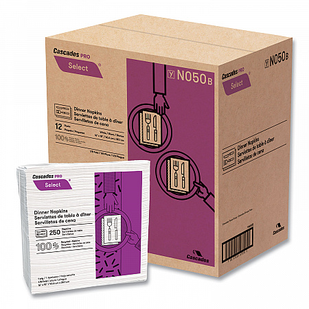 Select Dinner Napkins, 1-Ply, 16 x 15, White, 250/Pack, 12/Carton (N050)
