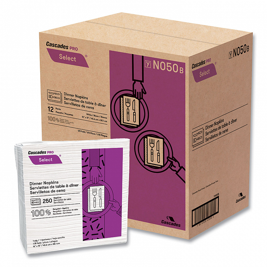 Select Dinner Napkins, 1-Ply, 16 x 15, White, 250/Pack, 12/Carton (N050)