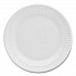 Concorde Foam Plate, 6