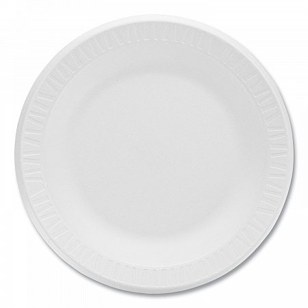 Concorde Foam Plate, 10.25