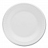 Concorde Foam Plate, 10.25