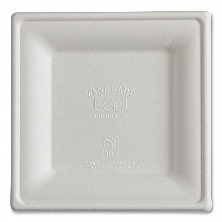 Vanguard Renewable and Compostable Sugarcane Plates, 6 x 6, White, 500/Carton (EPP021NFA)