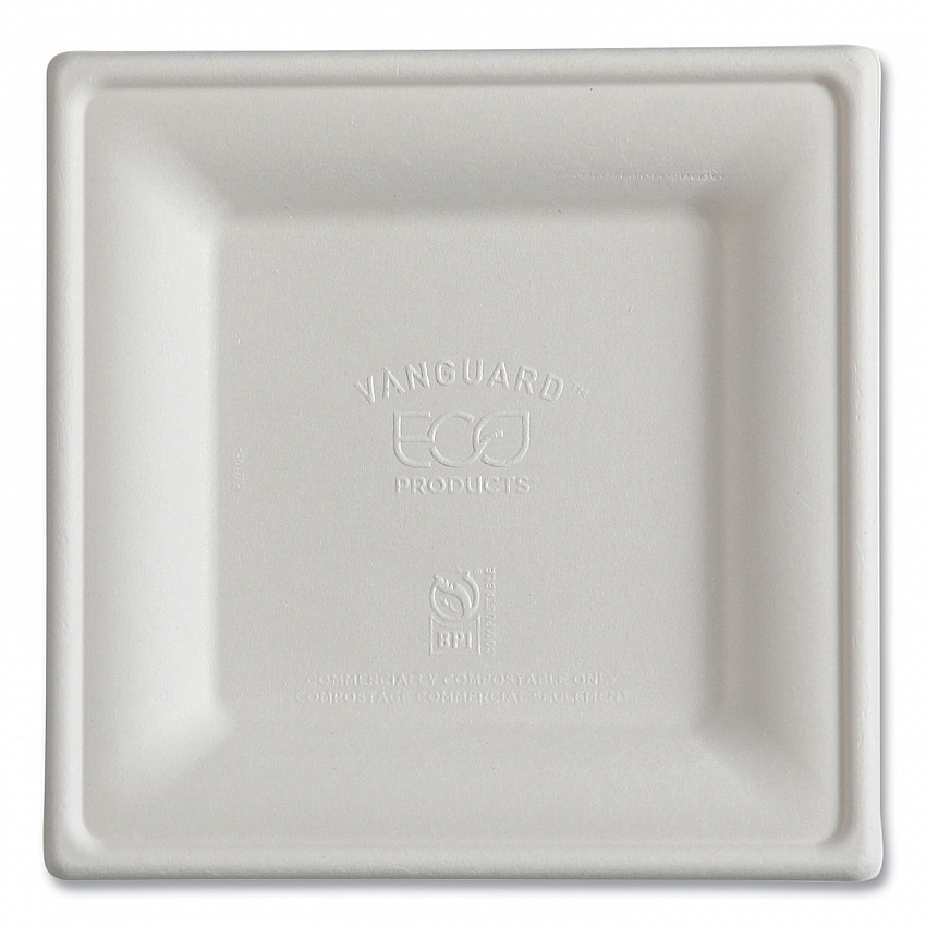 Vanguard Renewable and Compostable Sugarcane Plates, 6 x 6, White, 500/Carton (EPP021NFA)