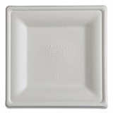 Vanguard Renewable and Compostable Sugarcane Plates, 10 x 10, White, 250/Carton (EPP023NFA)