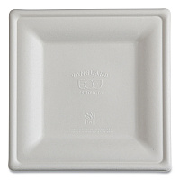 Vanguard Renewable and Compostable Sugarcane Plates, 10 x 10, White, 250/Carton (EPP023NFA)