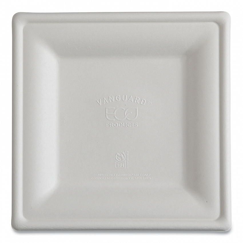 Vanguard Renewable and Compostable Sugarcane Plates, 10 x 10, White, 250/Carton (EPP023NFA)
