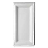 Vanguard Renewable and Compostable Sugarcane Plates, 5 x 10, White, 500/Carton (EPP024NFA)