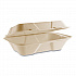 Nourish Molded Fiber Takeout Containers, Compostable, 6.1 x 9 x 2.9, Natural, Sugarcane, 200/Carton (VWHC96NFA)
