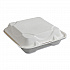 Vanguard Renewable and Compostable Sugarcane Clamshells, 9 x 9 x 3, White, 200/Carton (EPHC91NFA)