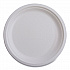 Vanguard Renewable and Compostable Sugarcane Plates, 6