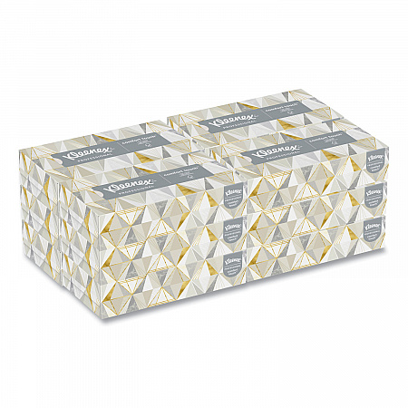 White Facial Tissue for Business, 2-Ply, 125 Sheets/Box, 12 Boxes/Carton (03076)
