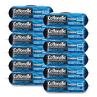 Fresh Care Flushable Cleansing Cloths, 1-Ply, 3.75 x 5.5, White, 42/Pack, 12 Packs/Carton (44932CT)