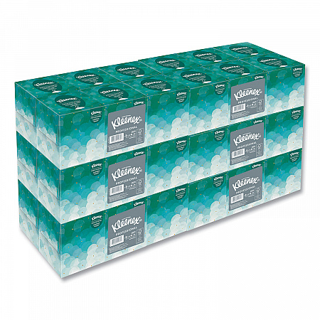 Professional Facial Tissue, Pop-Up Box, 2-Ply, 95 Sheets/Box, 6 Boxes/Pack, 6 Packs/Carton (21271CT)