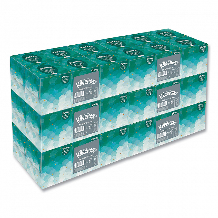 Professional Facial Tissue, Pop-Up Box, 2-Ply, 95 Sheets/Box, 6 Boxes/Pack, 6 Packs/Carton (21271CT)