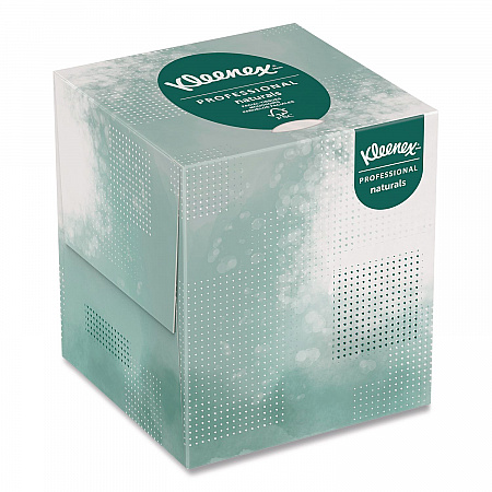 Naturals Facial Tissue, 2-Ply, White, 90 Sheets/Box (21272BX)