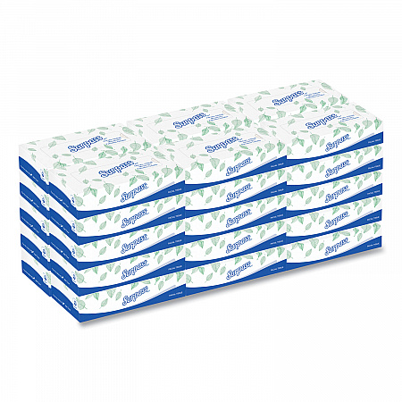 Facial Tissue for Business, Flat Box, 2-Ply, White, 100 Sheets/Box, 30 Boxes/Carton (21340)
