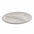 EarthChoice PFAS Free Compostable Dinnerware, 3-Compartment Plate, Sugarcane, 10.25