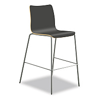 Ruck Laminate Stool, Supports Up to 300 lb, 30" Seat Height, Charcoal Seat/Back, Silver Base (RUCK5LSP8)