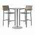 Eveleen Outdoor Bistro Patio Table, Two Mocha Powder-Coated Polymer Barstools, Round, 30