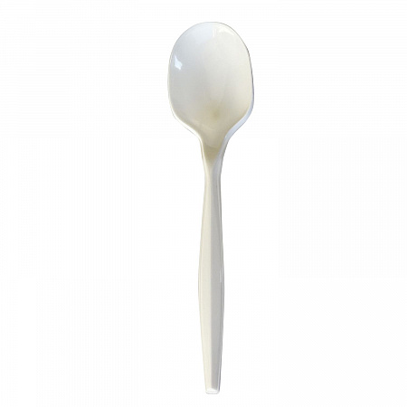 Mediumweight Polypropylene Cutlery, Soup Spoon, 4.86