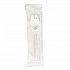 School Cutlery Kit, Mediumweight, Napkin/Spork/Straw, 5.31