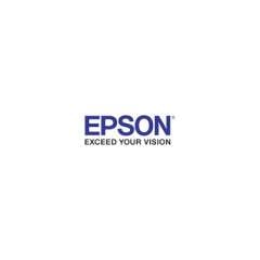 Epson SCREEN POSITIVE FILM ROLL, 5.3 MIL, 24" X 100 FT, WHITE (S450133)